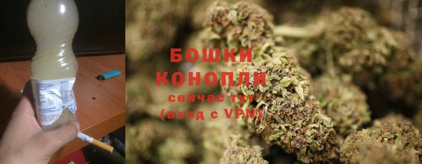 ПСИЛОЦИБИНОВЫЕ ГРИБЫ Баксан