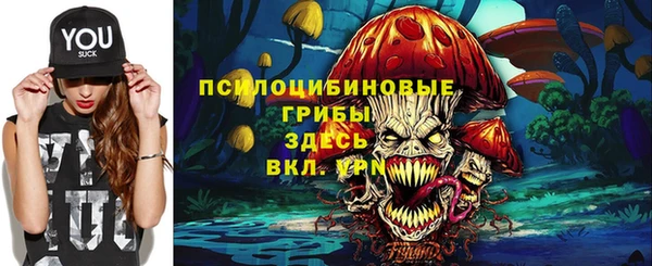 молекула духа Армянск