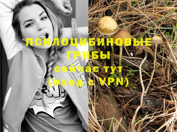 мет Аркадак