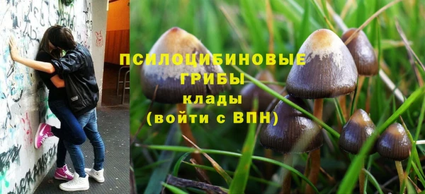 мет Аркадак