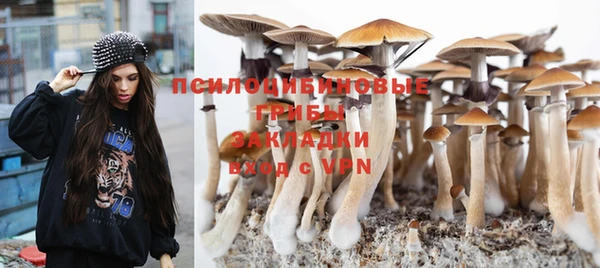 ПСИЛОЦИБИНОВЫЕ ГРИБЫ Баксан